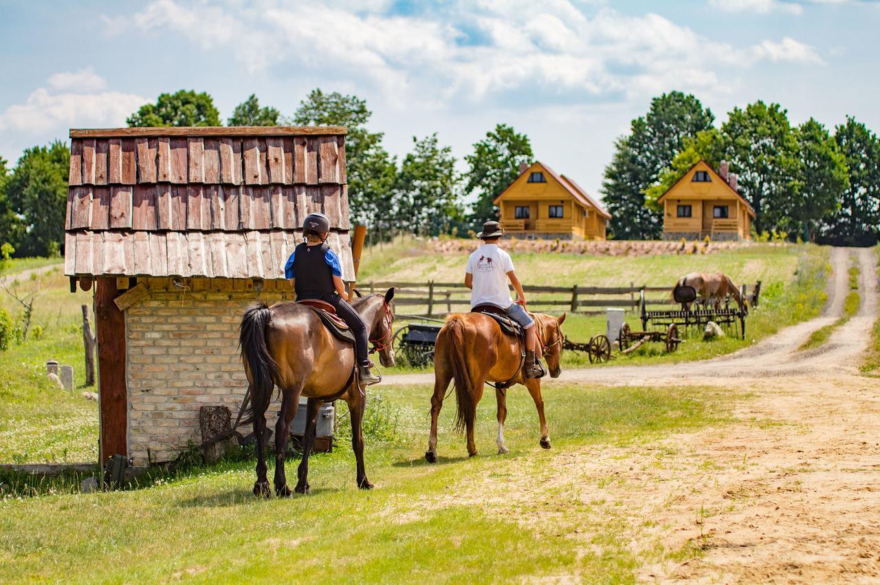 Osada Lagowek - Domek Letniskowy Do Wynajecia Buitenkant foto